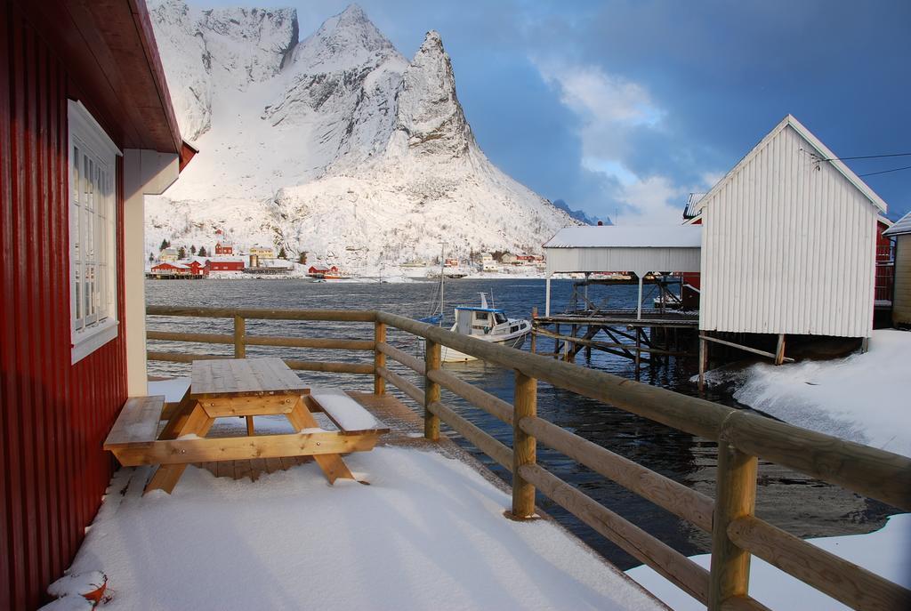 Maybua * Reine